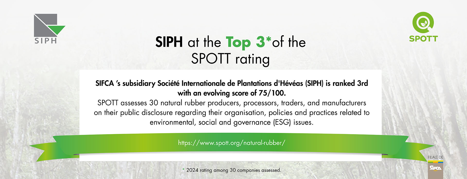 Rating Spott 2024 SIPH Top 3