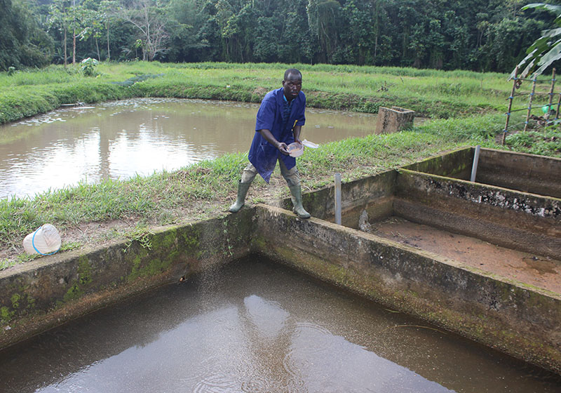 Formation en pisciculture